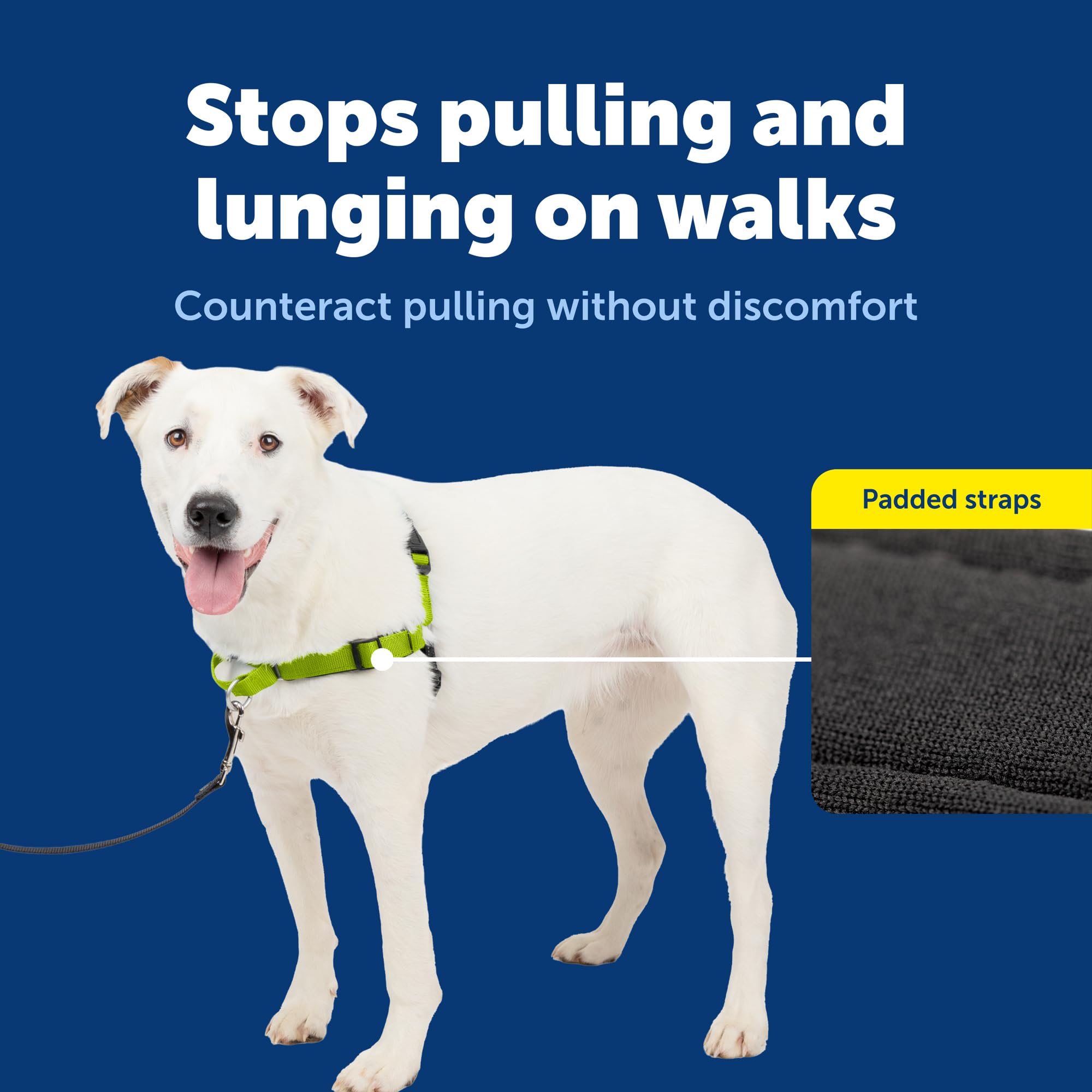 Amazon | PetSafe（ペットセーフ） 犬用 引っ張り防止ハーネス